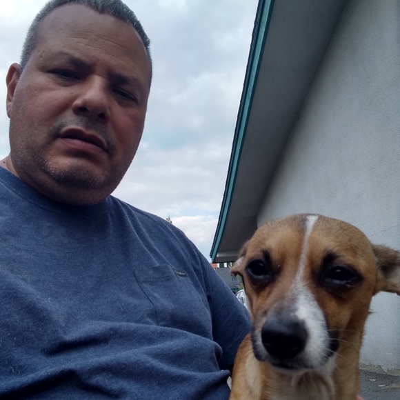 Meet your Posher, Jesus - Picture 1 of 1